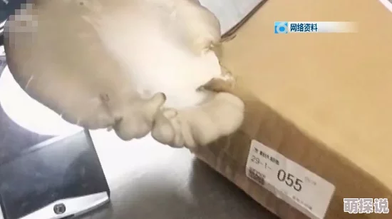 蘑菇视频吃瓜爆料:最新动态引发网友热议,众多明星私生活曝光,话题持续升温 蘑菇视频吃瓜爆料:最新动态引发网友热议,众多明星私生活曝光,话题持续升温