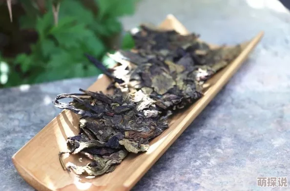 国产精品毛片在线大全:最新动态与热门内容汇总,带你了解当前最受欢迎的影视资源和观看趋势 国产精品毛片在线大全:最新动态与热门内容汇总,带你了解当前最受欢迎的影视资源和观看趋势