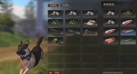 《明日之后》游戏中宠物狗的作用及特性全面介绍