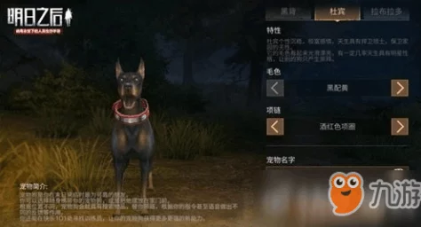《明日之后》游戏中宠物狗的作用及特性全面介绍