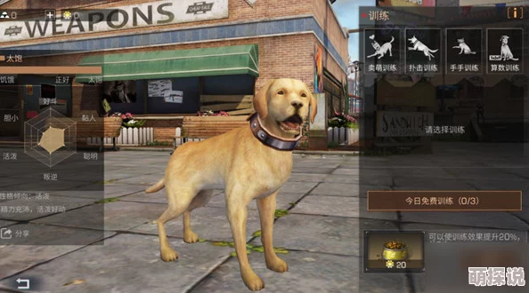《明日之后》游戏中宠物狗的作用及特性全面介绍