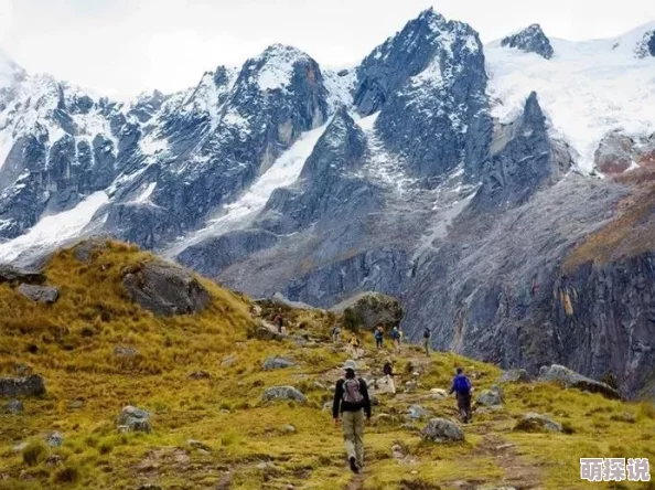 野外老妇毛耸耸:最新动态揭示其生活习性与生态环境的变化,吸引众多研究者关注与探讨 野外老妇毛耸耸:最新动态揭示其生活习性与生态环境的变化,吸引众多研究者关注与探讨