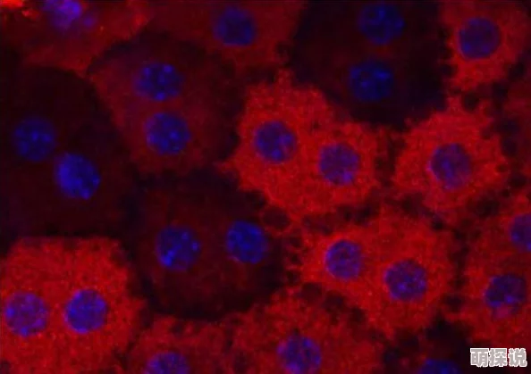 欧美爆交:最新动态揭示了这一现象背后的文化影响与社会反响,引发广泛讨论与关注 欧美爆交:最新动态揭示了这一现象背后的文化影响与社会反响,引发广泛讨论与关注