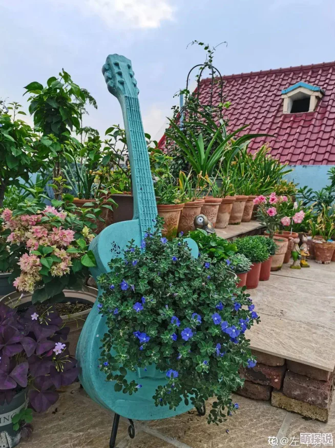 河北彩花SSIS-280线看！惊现罕见奇观，彩花绽放引发全城热议，市民纷纷前来围观！