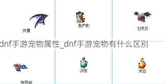 DNF手游宠物选择指南:全面解析各类宠物类型,助你找到最佳搭档 DNF手游宠物选择指南:全面解析各类宠物类型,助你找到最佳搭档