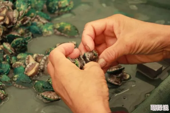 粉嫩鲍鱼18p:最新动态揭示其在市场上的热度持续攀升,消费者反响积极,销售量显著增长 粉嫩鲍鱼18p:最新动态揭示其在市场上的热度持续攀升,消费者反响积极,销售量显著增长