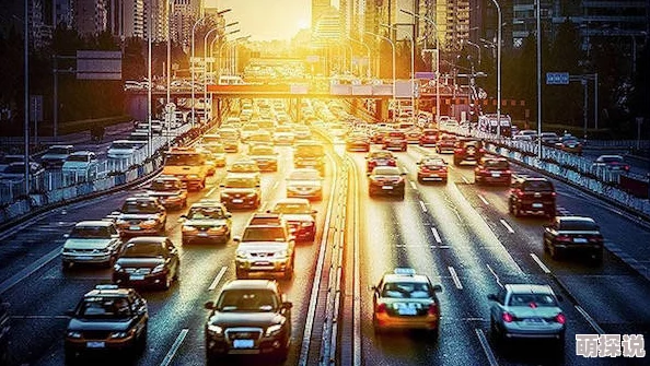 毛逼：最新动态揭示其在当代文化中的影响与发展趋势，值得关注的现象与讨论