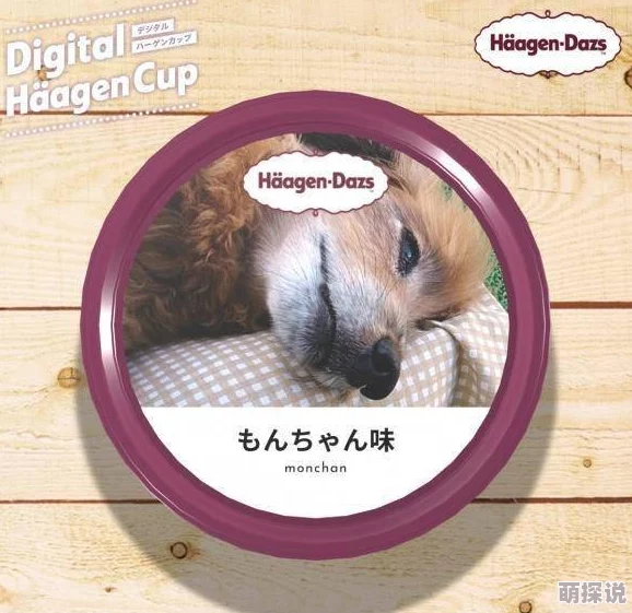 tom汤姆叔叔最新地域网名怎么取？网友评价：创意十足，寓意深刻的选名方式令人耳目一新！