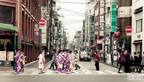wwwsss日本:深入了解日本的文化多样性、历史传统及当代社会发展的独特风貌 wwwsss日本:深入了解日本的文化多样性、历史传统及当代社会发展的独特风貌