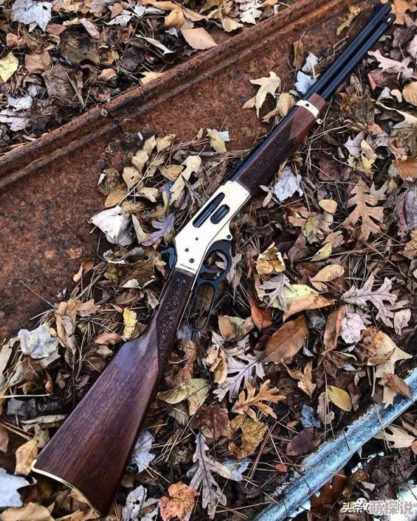 火器文明VIP购买指南:尊享价格特权与选择全面一览 火器文明VIP购买指南:尊享价格特权与选择全面一览