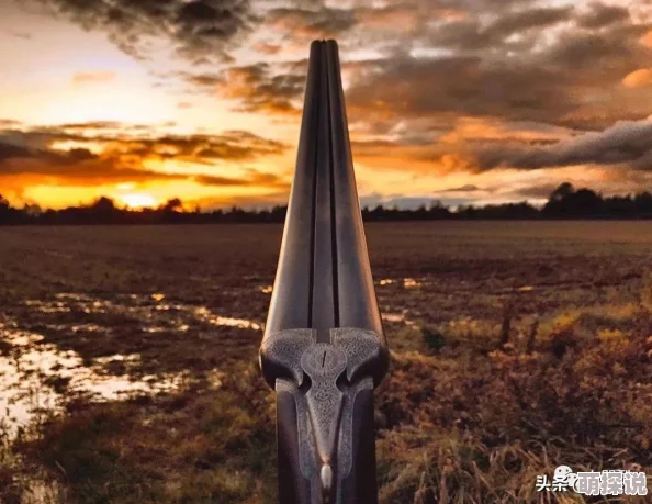 火器文明VIP购买指南:尊享价格特权与选择全面一览 火器文明VIP购买指南:尊享价格特权与选择全面一览