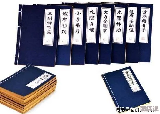 江湖求生法则：深入解析九阳真经武功秘籍介绍与修炼要点