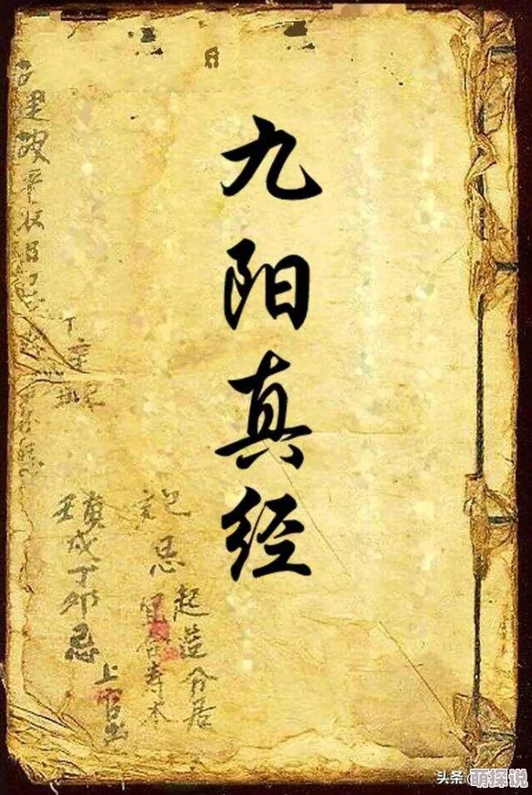 江湖求生法则：深入解析九阳真经武功秘籍介绍与修炼要点