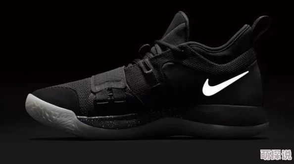 成品网站nike源码168曝光，超强功能与设计引发热议，电商行业或将迎来新变革！