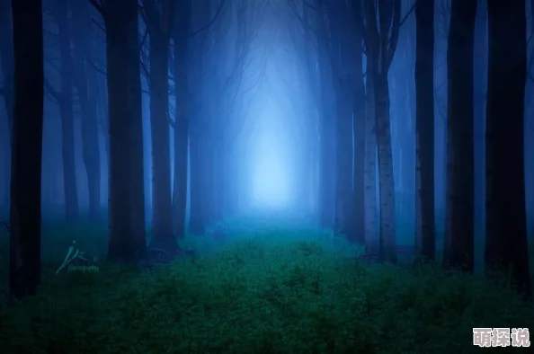 野外老妇毛耸耸：探访神秘森林中的奇特生物，揭开自然界的未知面纱与生态之谜