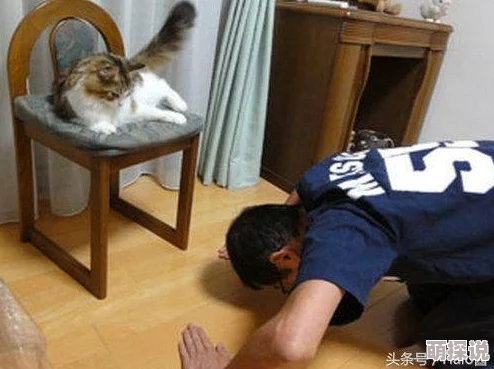 贱奴跪下被主人狠狠调教：最新进展曝光