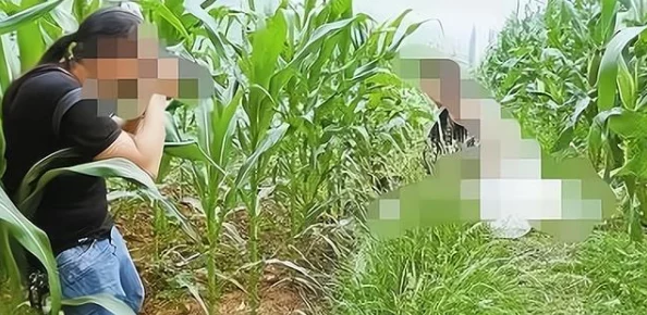 玉米地疯狂欲妇：案件调查持续深入，警方已锁定多名嫌疑人并展开追捕行动