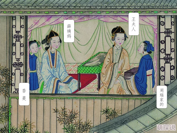 红楼梦淫史：许多网友认为这本书对人性的深刻剖析与复杂情感的描绘，远超表面的情色内容