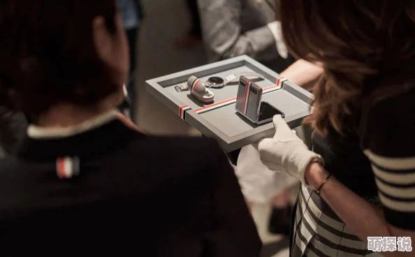 tapanHD18XXXⅩmm：传闻这款新产品将引领科技潮流，背后隐藏着哪些不为人知的故事？