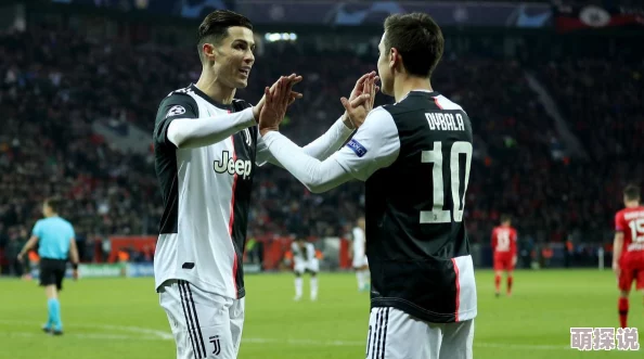 Ⅹ站：深度解析这一新兴网络平台的功能特点及其对社交互动的影响与未来发展趋势