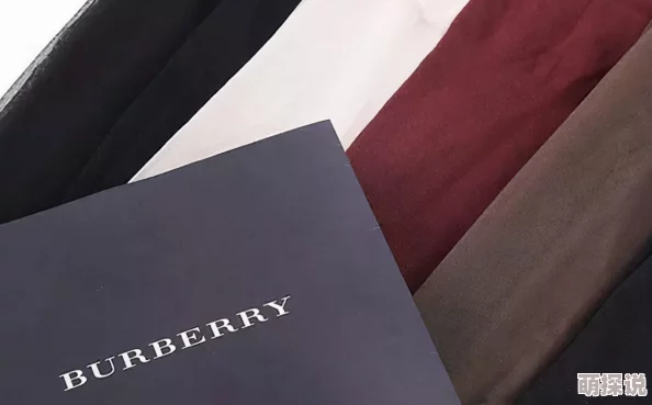 国产精品女丝袜白丝袜新动态：时尚潮流再升级，展现优雅与魅力的完美结合，尽显女性独特气质与风采