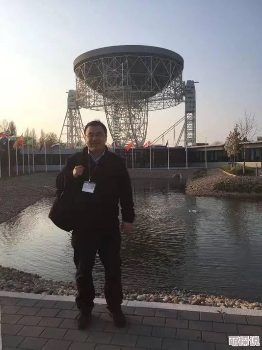 大尺度宇宙结构的最新进展：揭示暗物质与星系形成之间的深层联系及其对宇宙演化的影响