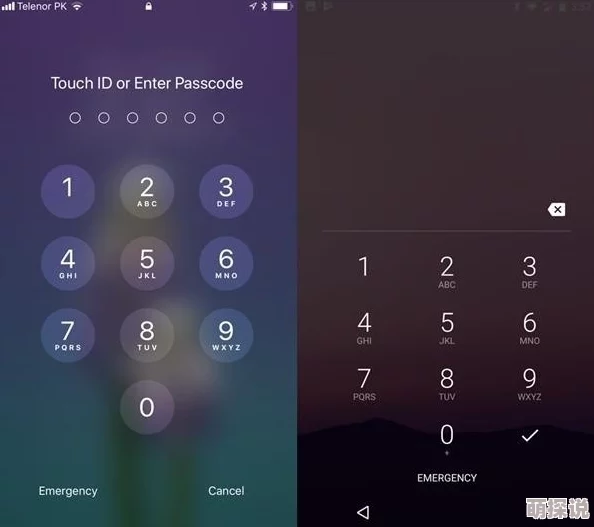 数码宝贝相遇服务器互通全面解析：苹果iOS与安卓Android能否跨平台同玩详解