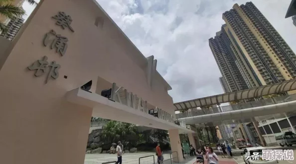 生存几何游戏攻略：居民升级方法与属性等级提升策略详解