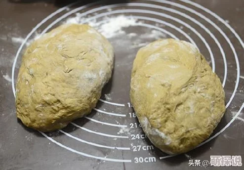 一小时人生:详解面包制作流程,先发酵后入热土炉烘焙秘诀 一小时人生:详解面包制作流程,先发酵后入热土炉烘焙秘诀