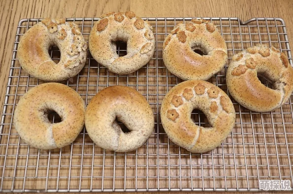 一小时人生:详解面包制作流程,先发酵后入热土炉烘焙秘诀 一小时人生:详解面包制作流程,先发酵后入热土炉烘焙秘诀