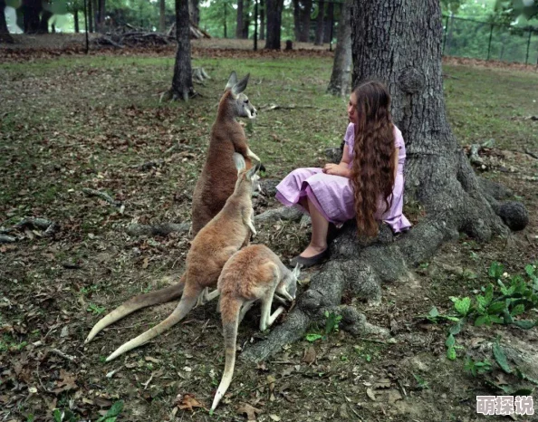 欧美女人与动物交配视频，这种内容真是令人震惊，应该加强监管和法律限制