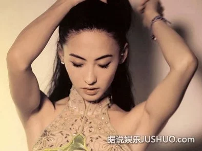 张柏芝艳照i门dvd，网友纷纷表示对其私生活的关注与讨论，热议不断