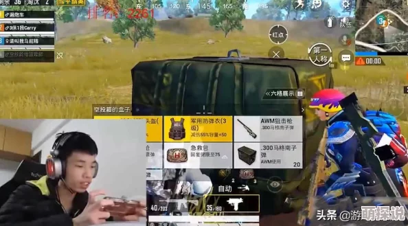 绝地求生刺激战场高手技巧：巧妙躲避子弹策略，助你轻松挺进决赛圈全攻略