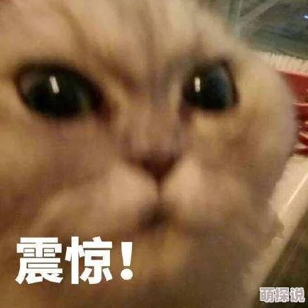 倩女幽魂手游平民玩家是否应考虑转职？全面解析及转职费用计算指南