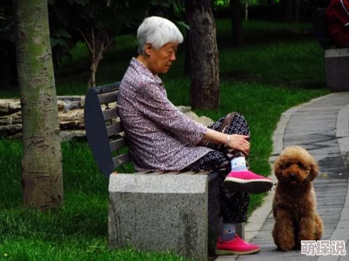 欧美老妇与禽杂恔配,这种搭配真是让人感到不可思议,文化差异太大了 欧美老妇与禽杂恔配,这种搭配真是让人感到不可思议,文化差异太大了