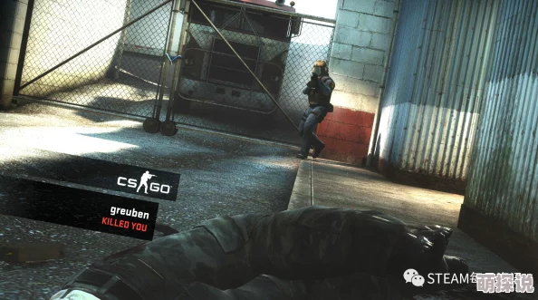 csgo暴躁小老妹，真是个有趣的角色，她的游戏风格和性格都让人印象深刻！