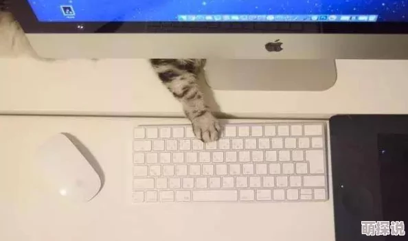 日本啪啪小视频网友认为这种内容过于低俗，影响青少年价值观，同时也呼吁加强对网络内容的监管与引导