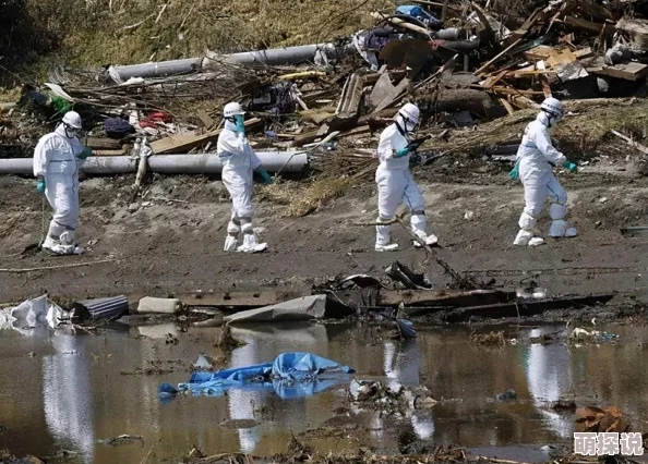 日本我和子的乱视频，真是让人震惊，这种内容怎么会被传播出来！