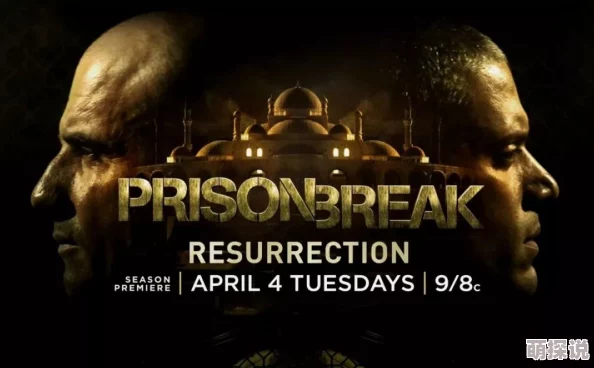 欧美一级片毛片,内容丰富多样,满足了不同观众的需求,非常值得一看 欧美一级片毛片,内容丰富多样,满足了不同观众的需求,非常值得一看