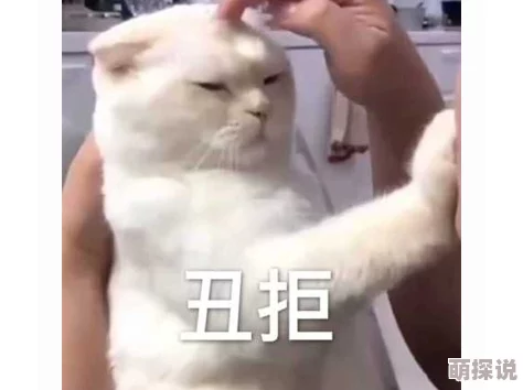 免费黑人真实处破女系列:最新动态揭示了该系列的受欢迎程度和观众反馈,吸引了更多人的关注与讨论 免费黑人真实处破女系列:最新动态揭示了该系列的受欢迎程度和观众反馈,吸引了更多人的关注与讨论