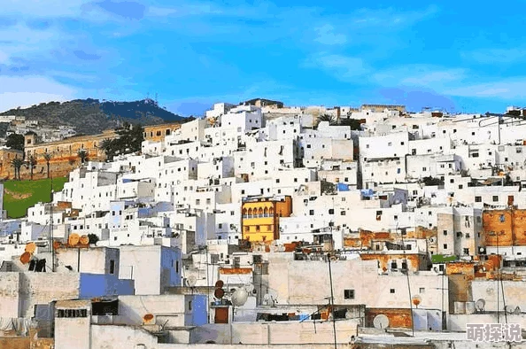 免费黑人真实处破女系列:最新动态揭示了该系列的受欢迎程度和观众反馈,吸引了更多人的关注与讨论 免费黑人真实处破女系列:最新动态揭示了该系列的受欢迎程度和观众反馈,吸引了更多人的关注与讨论