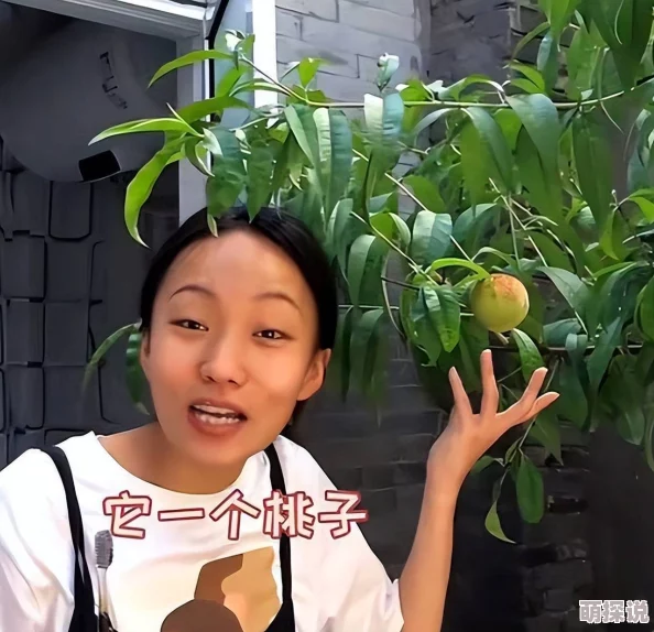 国产精品视频第一区二区三区，内容丰富多样，真是让人眼前一亮，值得一看！