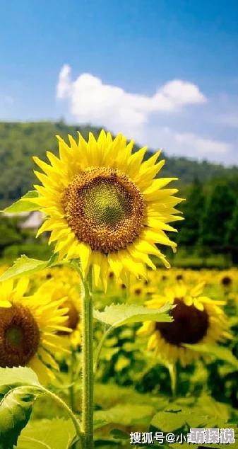 太深 ＊痛太舒服，很多人都说这种感觉很奇妙，既痛又享受，让人欲罢不能