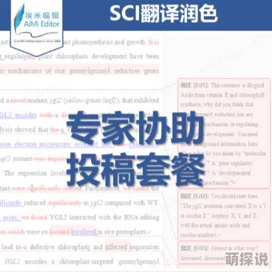 sci润色服务网站777,提供专业的学术论文润色服务,效果显著,非常推荐! sci润色服务网站777,提供专业的学术论文润色服务,效果显著,非常推荐!