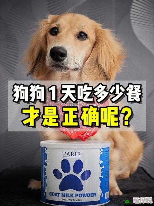 人狗胶配方大全狗狗一,真是个好主意,希望能帮助更多养犬人士! 人狗胶配方大全狗狗一,真是个好主意,希望能帮助更多养犬人士!