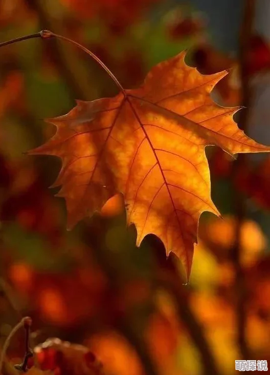 宝宝腰好会夹小说高h,真是让人忍不住想一探究竟,内容一定很精彩! 宝宝腰好会夹小说高h,真是让人忍不住想一探究竟,内容一定很精彩!