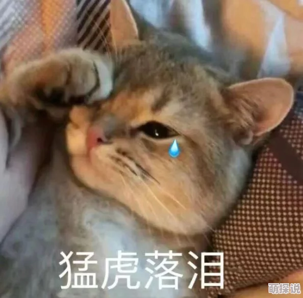 女婿一会叫妈一会叫阿姨什么意思?网友热议家庭称谓背后的情感与文化差异 女婿一会叫妈一会叫阿姨什么意思?网友热议家庭称谓背后的情感与文化差异