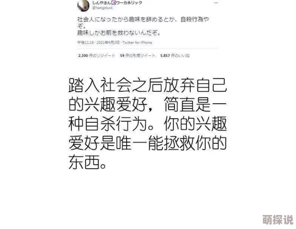 欧美日本韩国一二区视频网友认为该视频内容丰富多样，涵盖了不同文化的特色，吸引了大量观众的关注与讨论