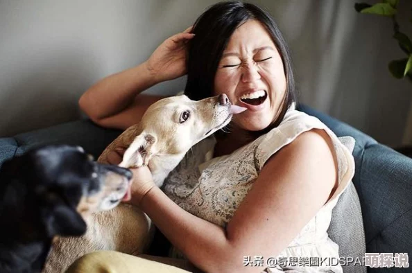 啊～你TM别舔了！网友热议宠物行为，竟引发全网疯狂讨论，背后原因让人哭笑不得！