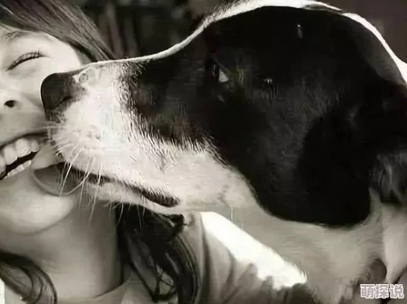 啊～你TM别舔了！网友热议宠物行为，竟引发全网疯狂讨论，背后原因让人哭笑不得！